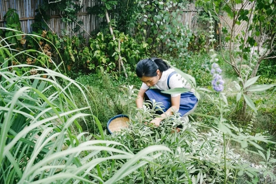 ▲新村民梁洁，种了许多香草的小院