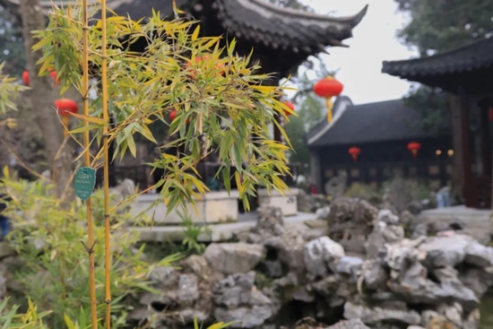 @圖蟲創(chuàng)意