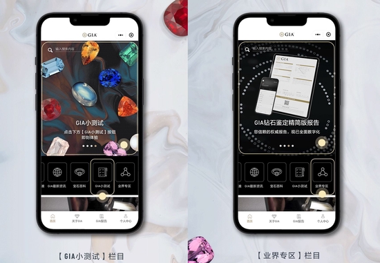 特别栏目——[GIA小测试]和[业界专区]