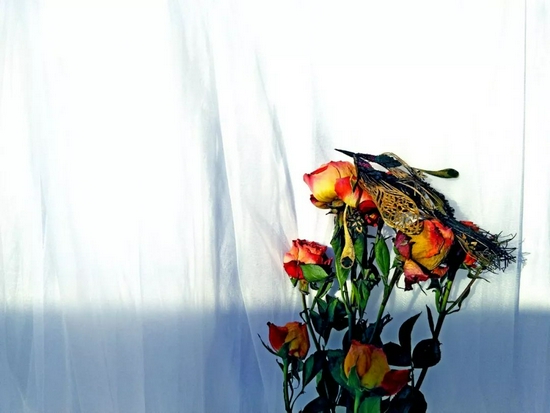 ǧֽ����Ʒ��������