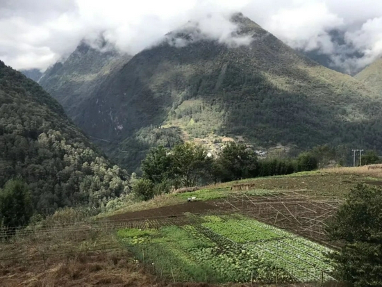  阿布的菜园子