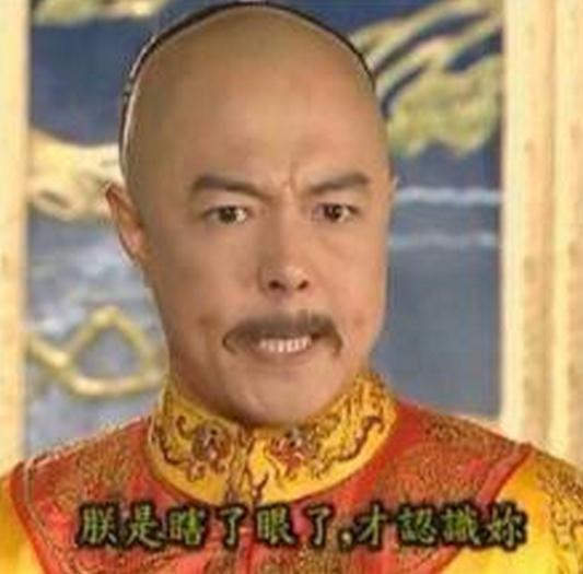 格格阿哥齐讨债扒扒皇阿玛张铁林的那些风流韵事