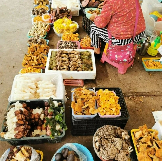 ▲昆明木水花野生菌交易市场