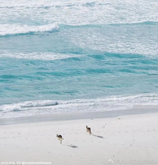 @northstradbrokeisland