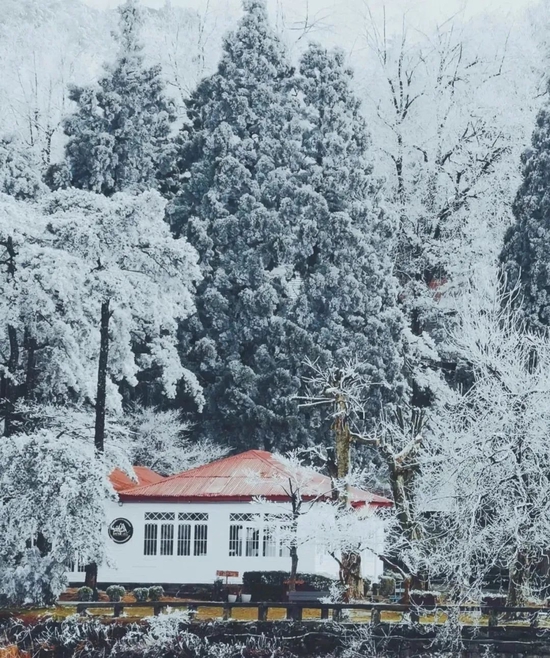 @庐山延时民宿