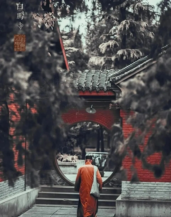 小红书@277230128白马寺