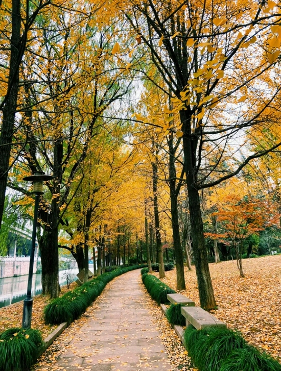 小红书@宁宁宁阿宁