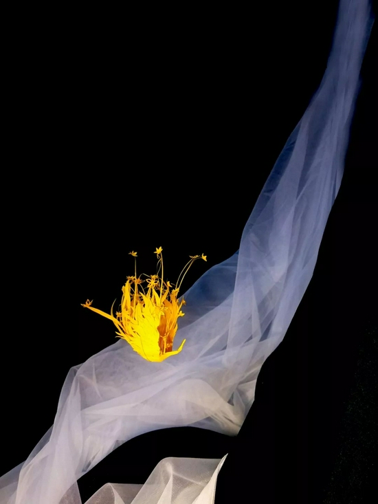 ǧֽ����Ʒ�����̡�