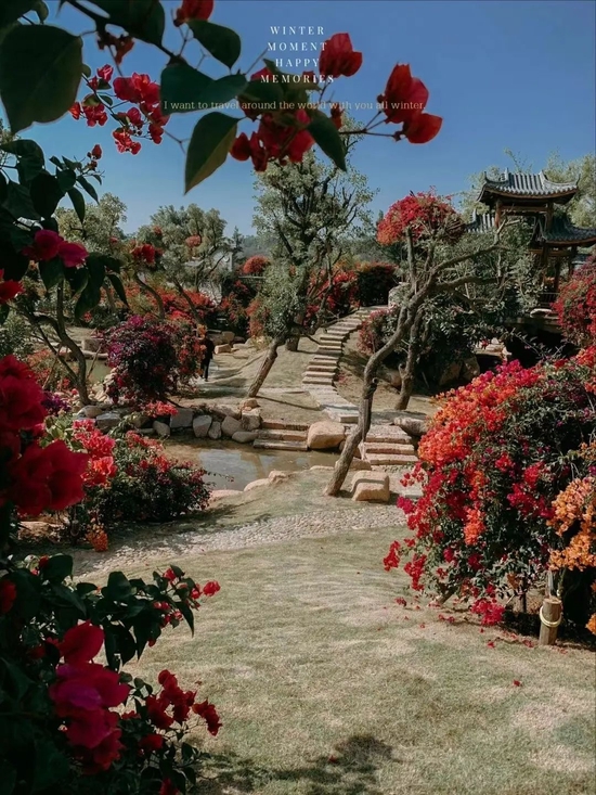小红书@姐姐&妹妹