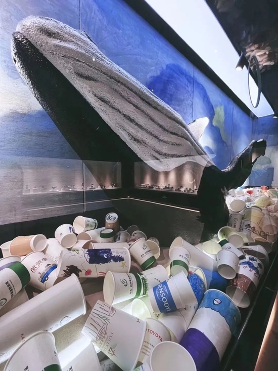 小红书@小蛮妖175