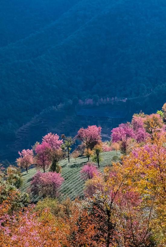 云南无量山