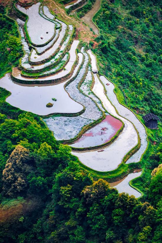 贵州加榜梯田