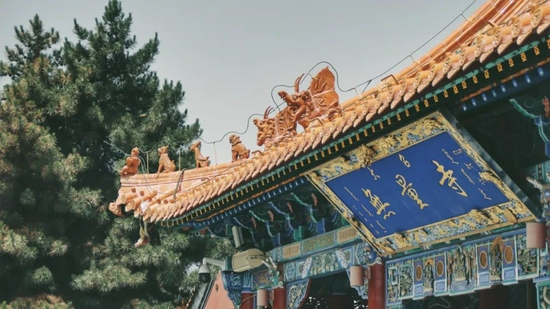 为了吃一口正宗羊肉自驾700公里 挖到了年度最爱的美食高地