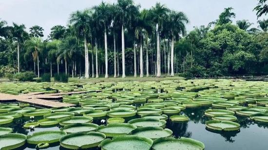 @图虫创意