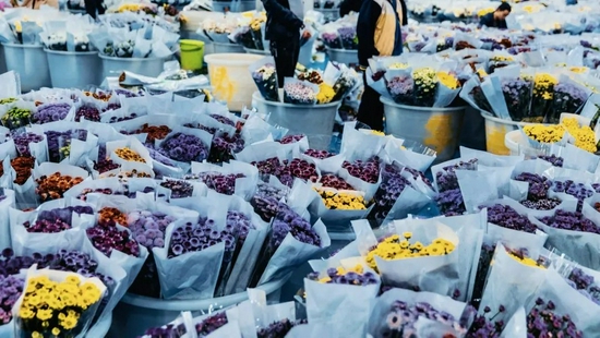 ▲昆明斗南花卉市场