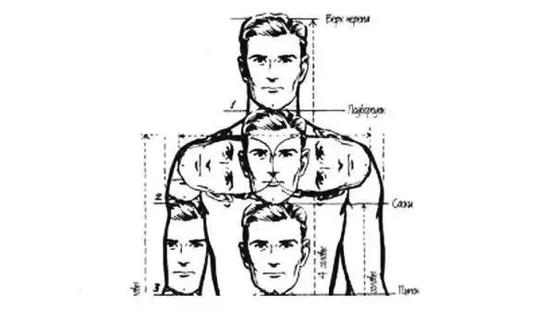 理想的"头肩差"比例肩部长度=头部高度x 2头大在一定程度上会显矮,这