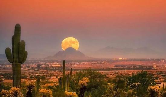 ▲图:moonahead@ins