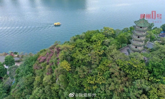 @我爱柳州