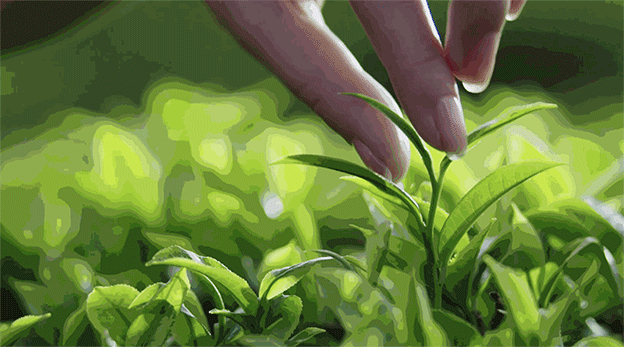 北纬21°的神奇乐土 简直太好玩