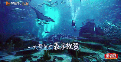 章子怡和汪峰在鲸鲨馆 ▲图自《妻子的浪漫旅行》