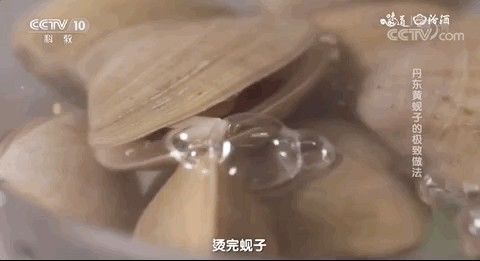 烫熟的，据说比煮的更加鲜嫩 @央视《味道》