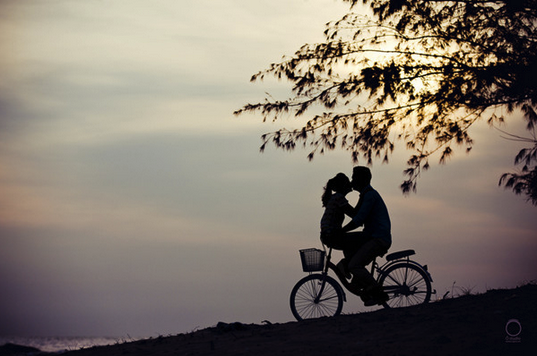 导语:几千万年以来,人们为爱情的真相所着迷.