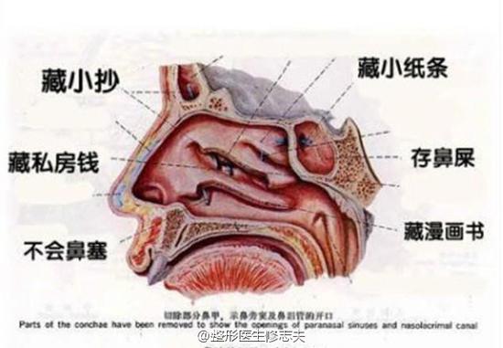 教你如何拯救"大鼻孔"