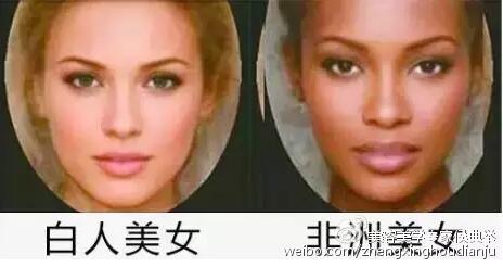 标准美女到底长啥样 你的脸离 标准 有多远 采美365网