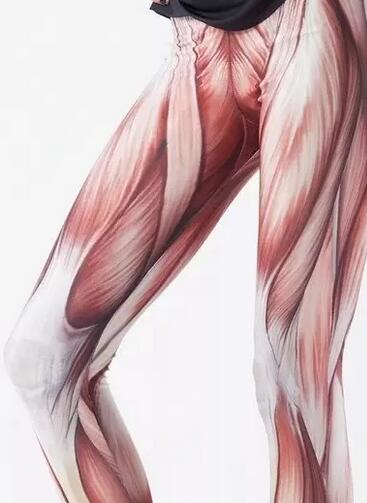 肌肉腿