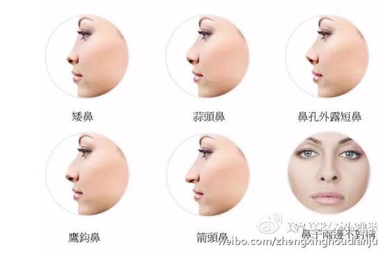什么样的鼻子才算美你的鼻子美吗