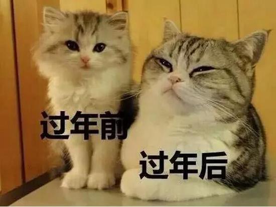 一针毁一生,节后你不可选的溶脂针|瘦脸针|细胞膜_新浪女性_新浪网