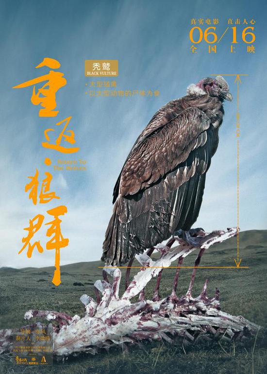《重返狼群》角色版海报 秃鹫