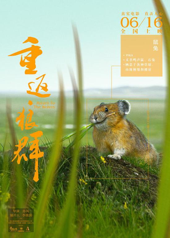 《重返狼群》角色版海报 鼠兔