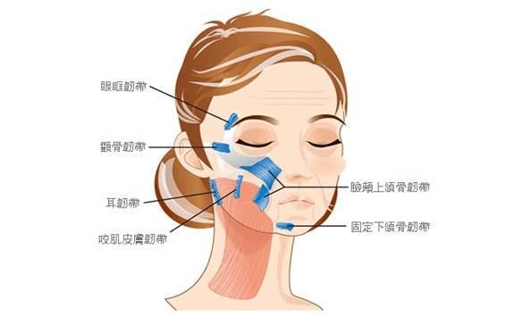 究竟是什么让面部线雕那么火