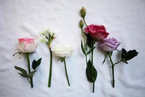 文章来源微信公众号:冷爱怎样判断两个人是. 来