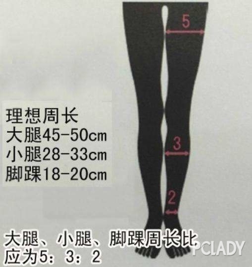 女生腿围标准图图片