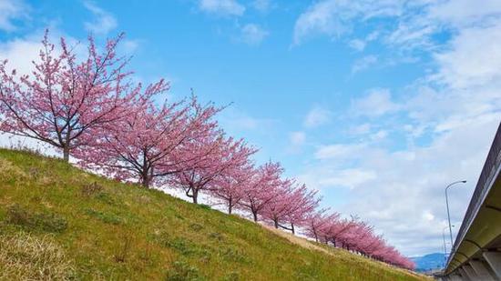 ?peaceful-jp-scenery (busy)/Flickr