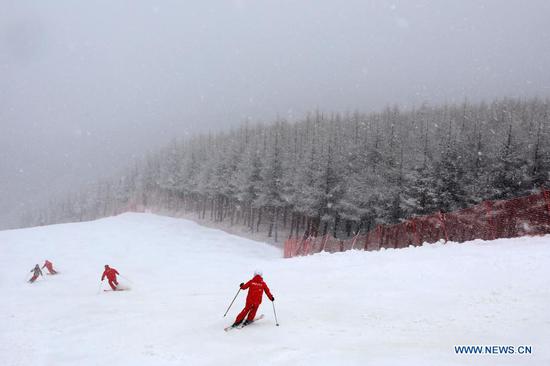 People ski at a ski field during a snowfall in Chongli District of Zhangjiakou City, north China's Hebei Province, Nov. 18, 2020. A snowfall hit Chongli on Wednesday. (Photo by Wu Diansen/Xinhua)