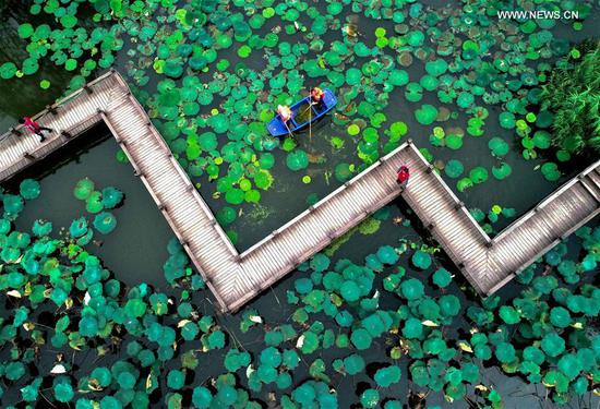 Aerial photo taken on Sept. 21, 2020 shows volunteers clearing the surface of a pond in Xucang Village, Changxing County of east China's Zhejiang Province. Local authorities launched a campaign to clear up the water system in villages to secure a pleasant environment. (Xinhua/Xu Yu)