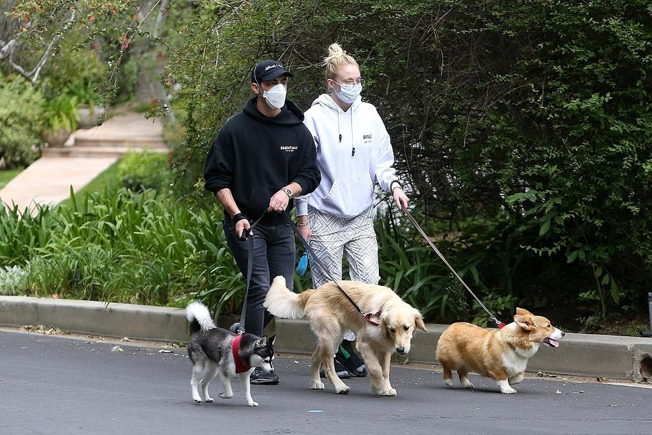 组图:"三傻"苏菲与老公出门 两人遛三只狗成一道风景线