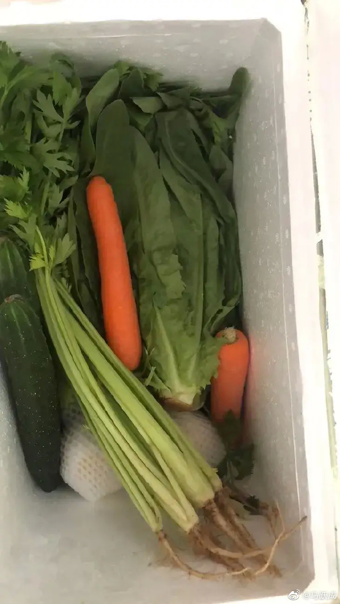 组图：邓超孙俪为上海捐赠蔬菜箱市民晒照发文感谢第3张图片