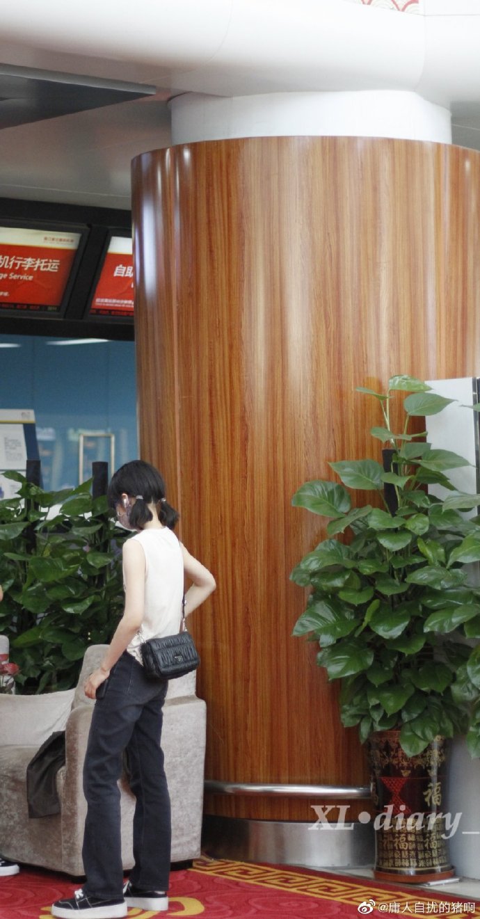 组图：张子枫最新机场饭拍图扎双马尾穿背心清新可爱第1张图片