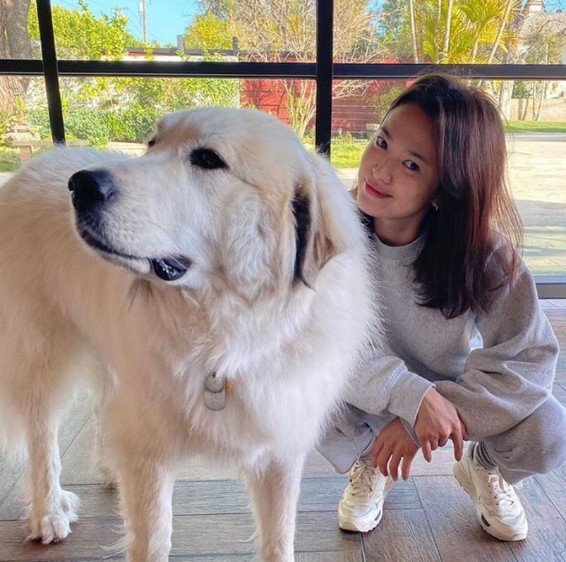 组图：38岁宋慧乔近照曝光 一身运动装与爱犬合影笑容超甜