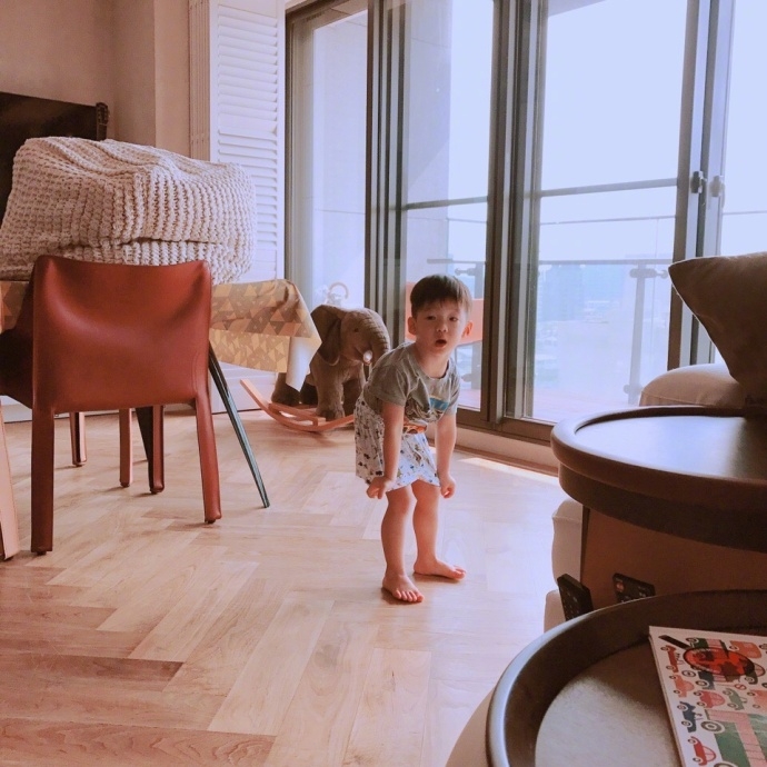 组图:范玮琪两儿子在客厅呆萌玩耍 飞飞翔翔傻傻分不清_高清图集_新浪