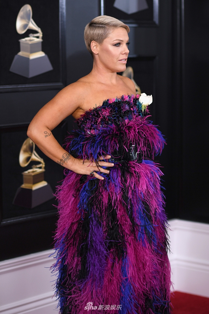 组图:pink亮相格莱美颁奖礼 携家人走红毯满脸幸福
