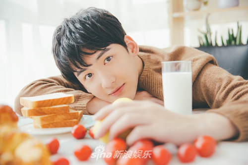 陈鹏万里 新浪网