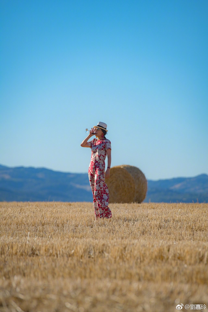 刘嘉玲身穿红色旗袍