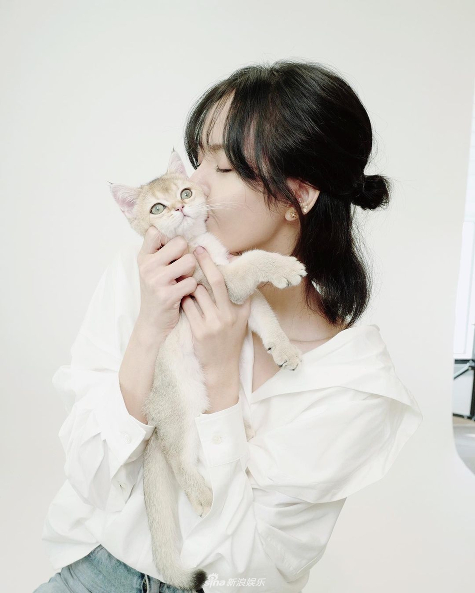 組圖：Lisa帶愛寵貓咪們拍證件照 喵星人表情超傲嬌