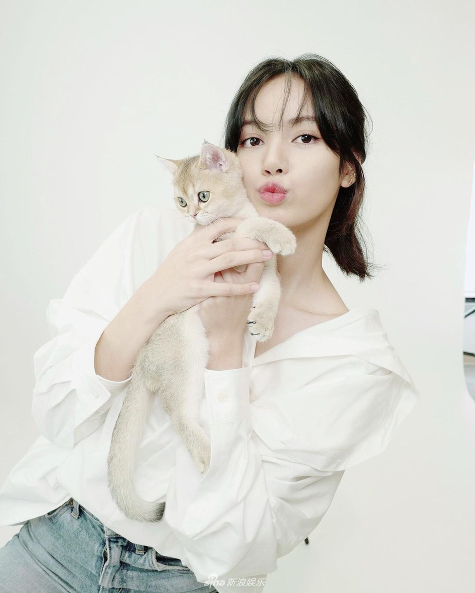 組圖：Lisa帶愛寵貓咪們拍證件照 喵星人表情超傲嬌