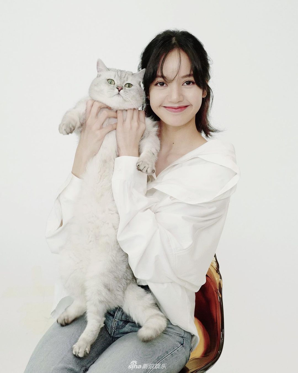 組圖：Lisa帶愛寵貓咪們拍證件照 喵星人表情超傲嬌